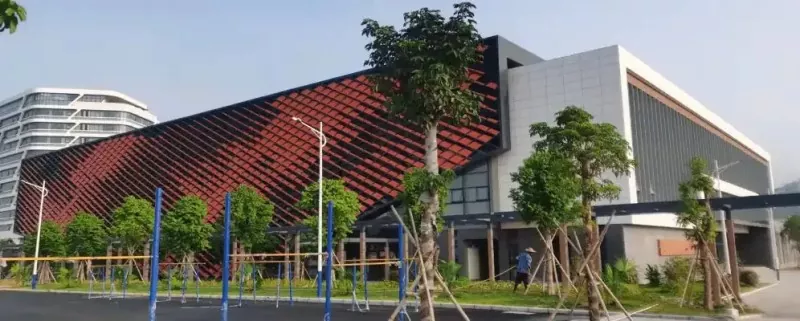 Ijimnaziyam yeSakhiwo seTruss